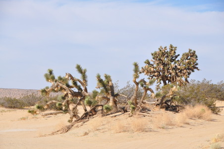 Enlarge photo 40