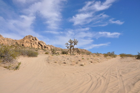 Enlarge photo 42