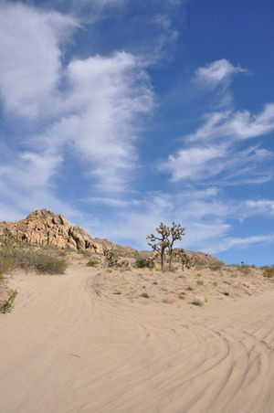 Enlarge photo 81