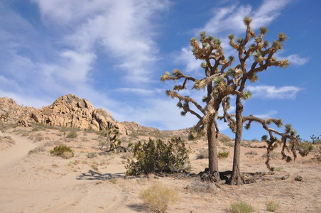 Enlarge photo 46
