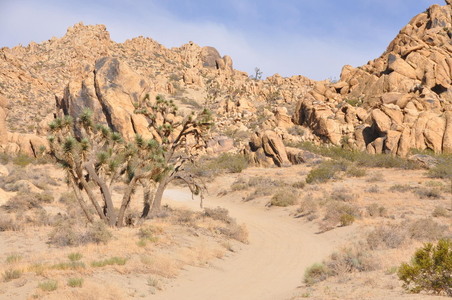 Enlarge photo 47