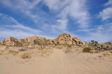 Enlarge photo 48