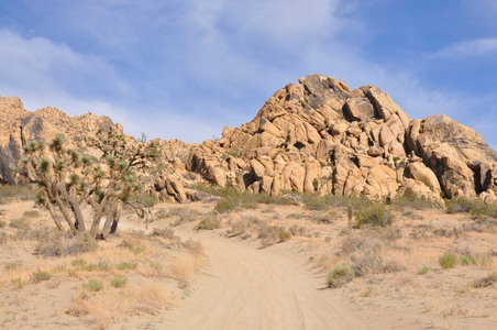 Enlarge photo 49