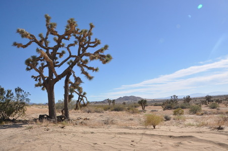 Enlarge photo 50