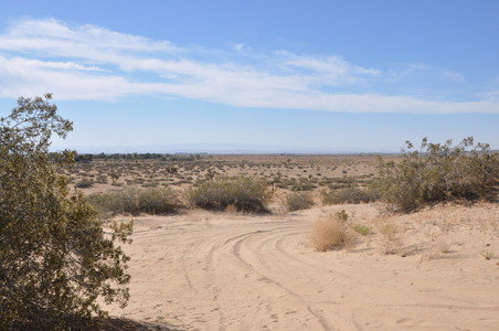 Enlarge photo 51