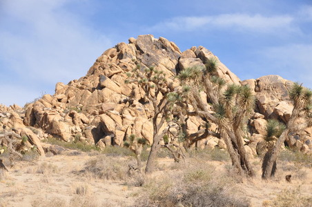 Enlarge photo 53