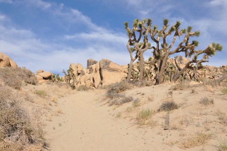 Enlarge photo 54
