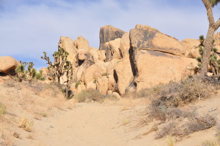 Enlarge photo 55