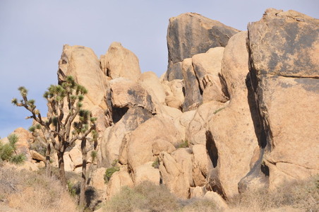 Enlarge photo 56