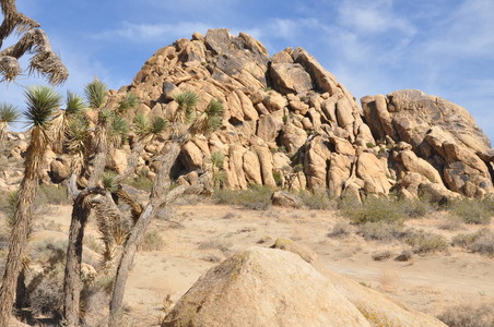 Enlarge photo 61