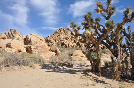 Enlarge photo 62