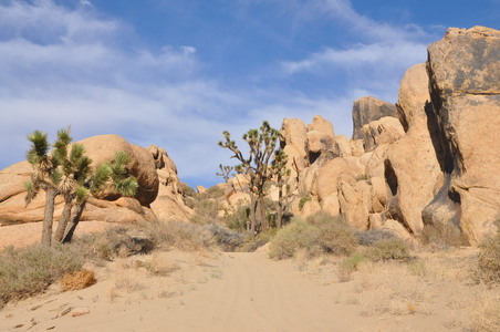 Enlarge photo 63
