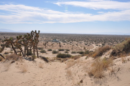 Enlarge photo 64