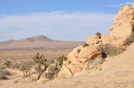 Enlarge photo 65