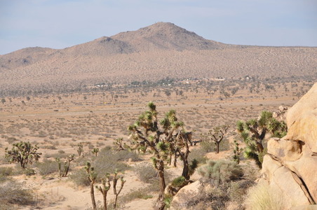 Enlarge photo 66