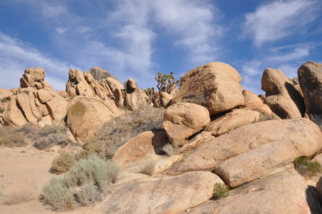 Enlarge photo 67