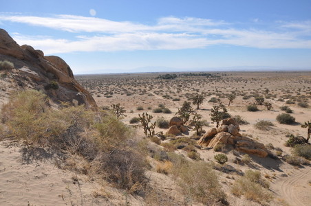 Enlarge photo 68