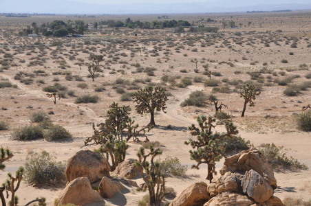 Enlarge photo 69