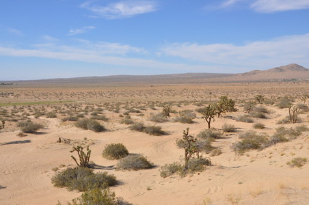 Enlarge photo 70