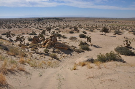 Enlarge photo 71