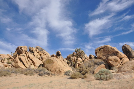 Enlarge photo 72