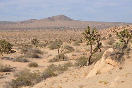 Enlarge photo 73