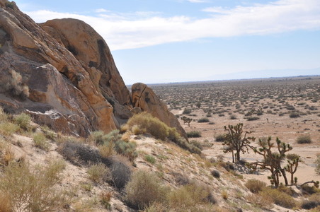 Enlarge photo 74
