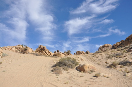 Enlarge photo 75