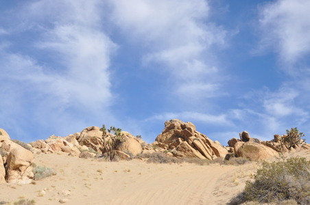 Enlarge photo 76