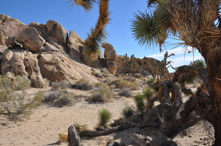 Enlarge photo 77