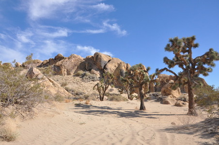 Enlarge photo 78