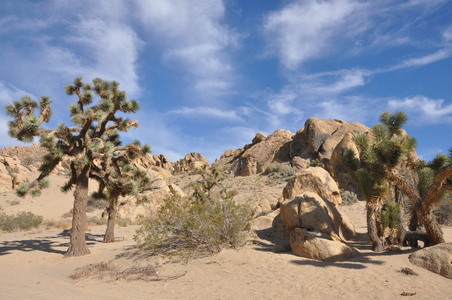 Enlarge photo 79