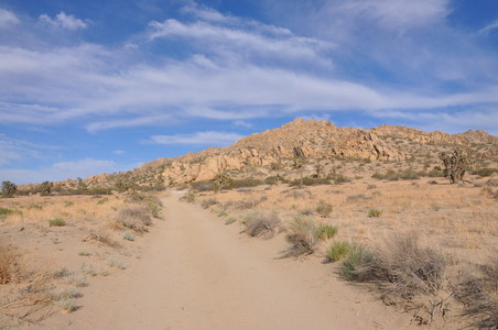 Enlarge photo 80