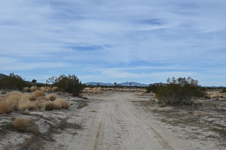 Enlarge photo 11