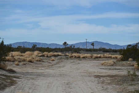 Enlarge photo 27