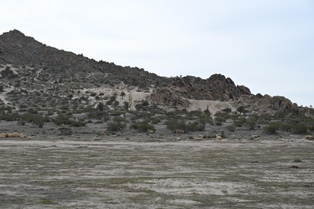 Enlarge photo 3