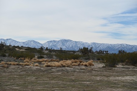 Enlarge photo 14