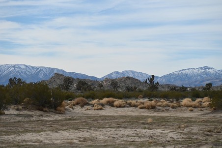 Enlarge photo 25