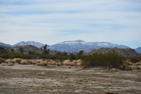 Enlarge photo 21