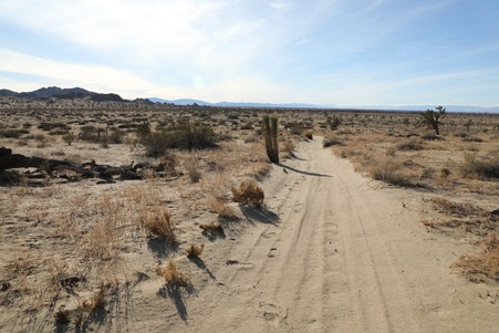 Enlarge photo 3
