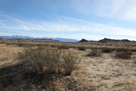 DW Ranch 
