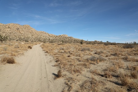 Enlarge photo 2