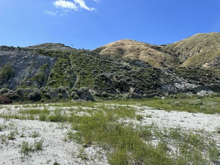Enlarge photo 63
