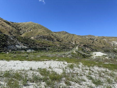 Enlarge photo 62