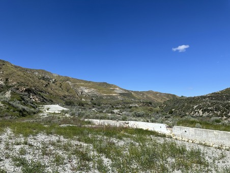 Enlarge photo 61