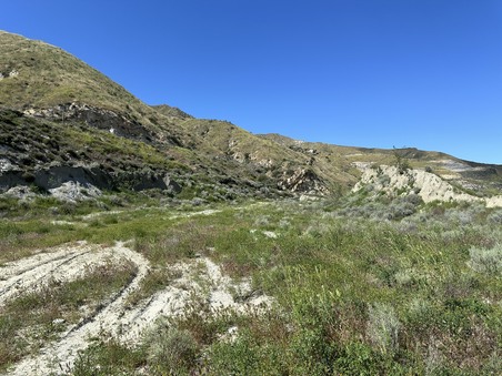 Enlarge photo 58