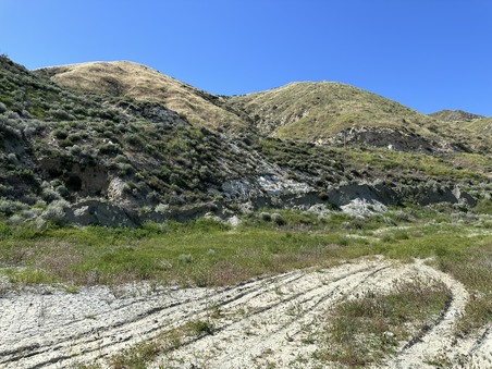 Enlarge photo 57