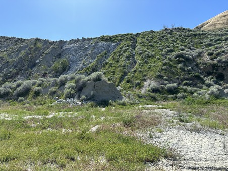 Enlarge photo 56