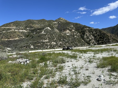Enlarge photo 53
