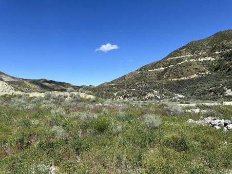 Enlarge photo 52